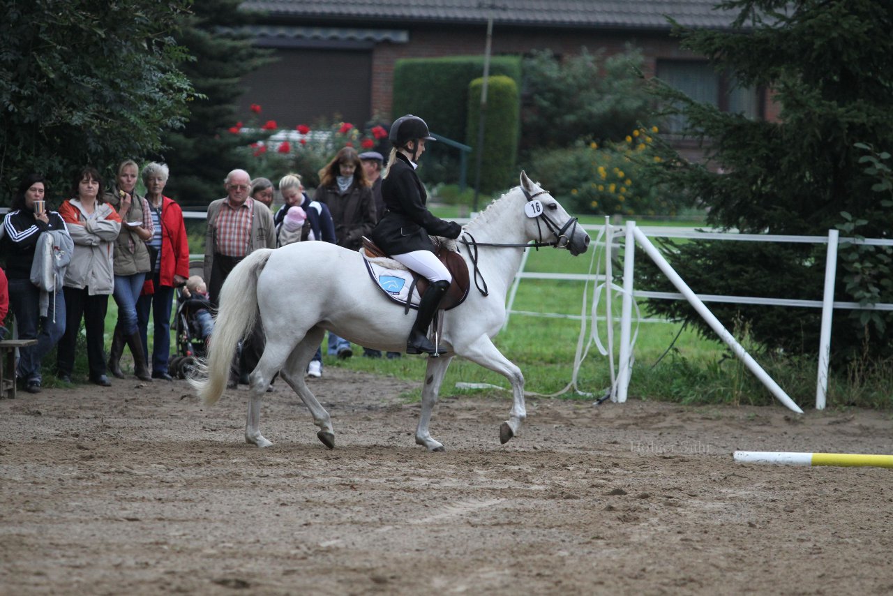 Bild 367 - WBO-Turnier am 18.9.11
